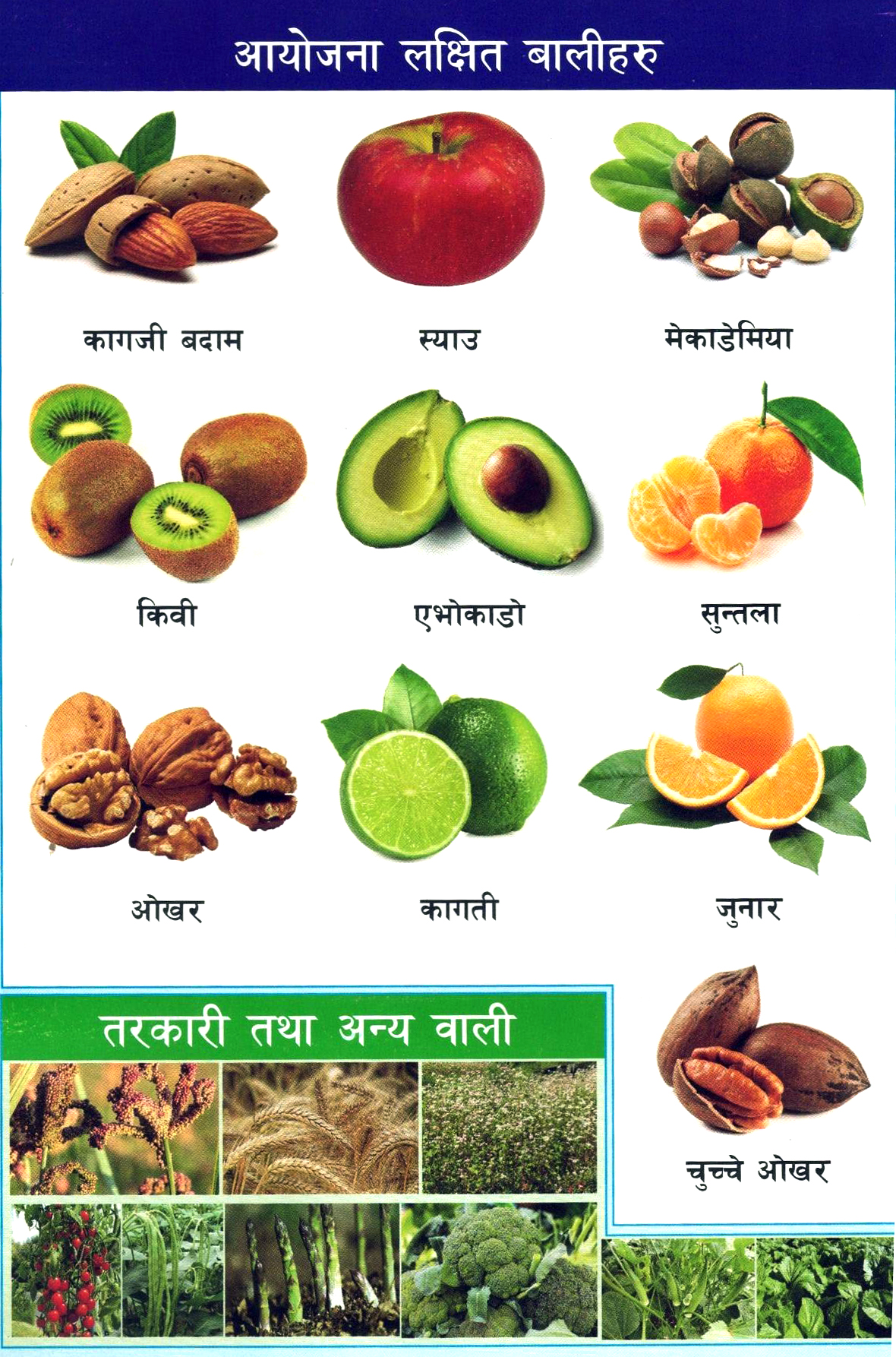 Project Target Crops